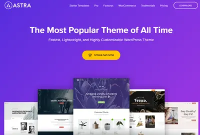Astra Pro Addon v4.8.4-NULLED版 免费版 Astra主题高级插件