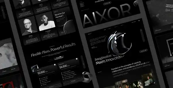 Aixor v2.0- Marketing Agency 营销机构-wordpress主题