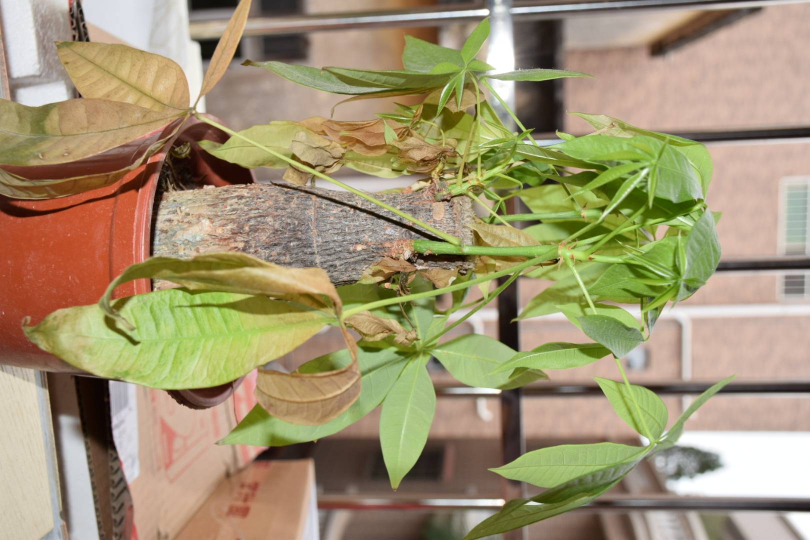 随手拍，生活不止有远方