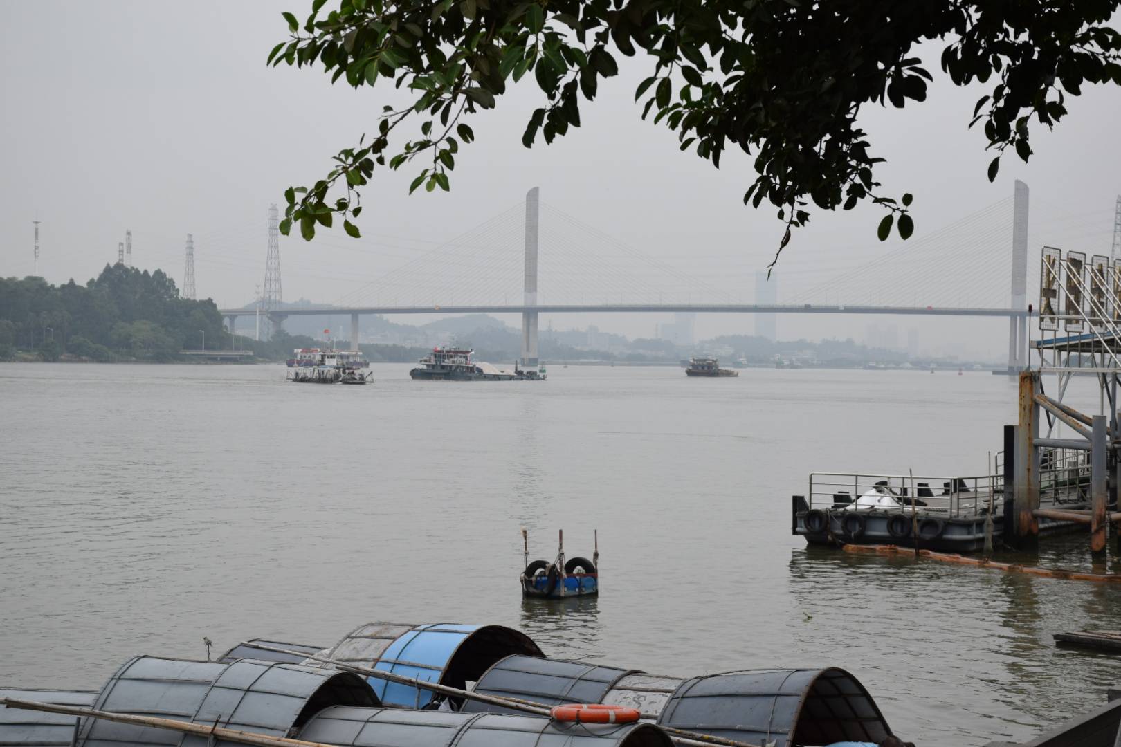 随手拍，生活不止有远方