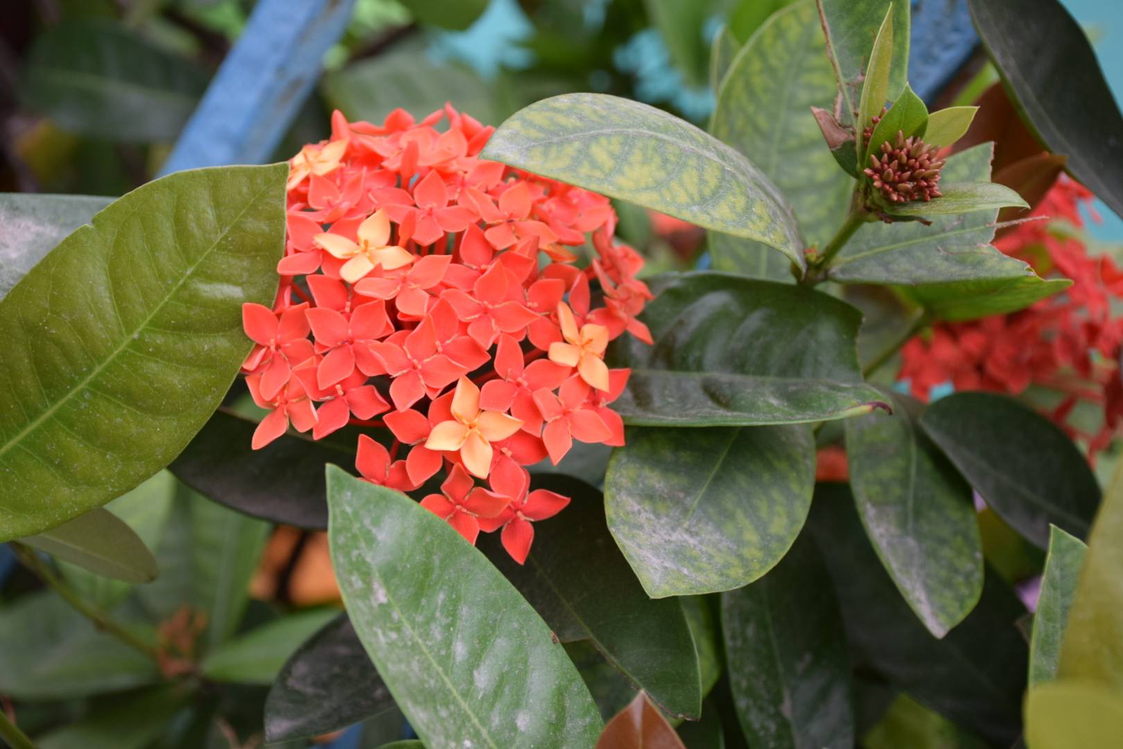 随手拍，生活不止有远方